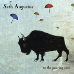 To the Pouring Rain by Seth Augustus